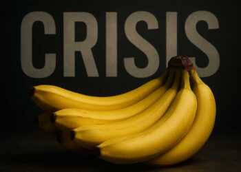 Chiquita: Análisis de la crisis laboral y la influencia política - tupolitica.com Panamá
