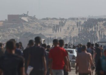 Comunicado de ONU: Gaza: La hambruna y la desesperación obligan a la gente a buscar comida en el suelo